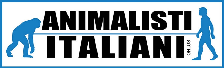 L'Associazione – Animalisti Italiani Onlus