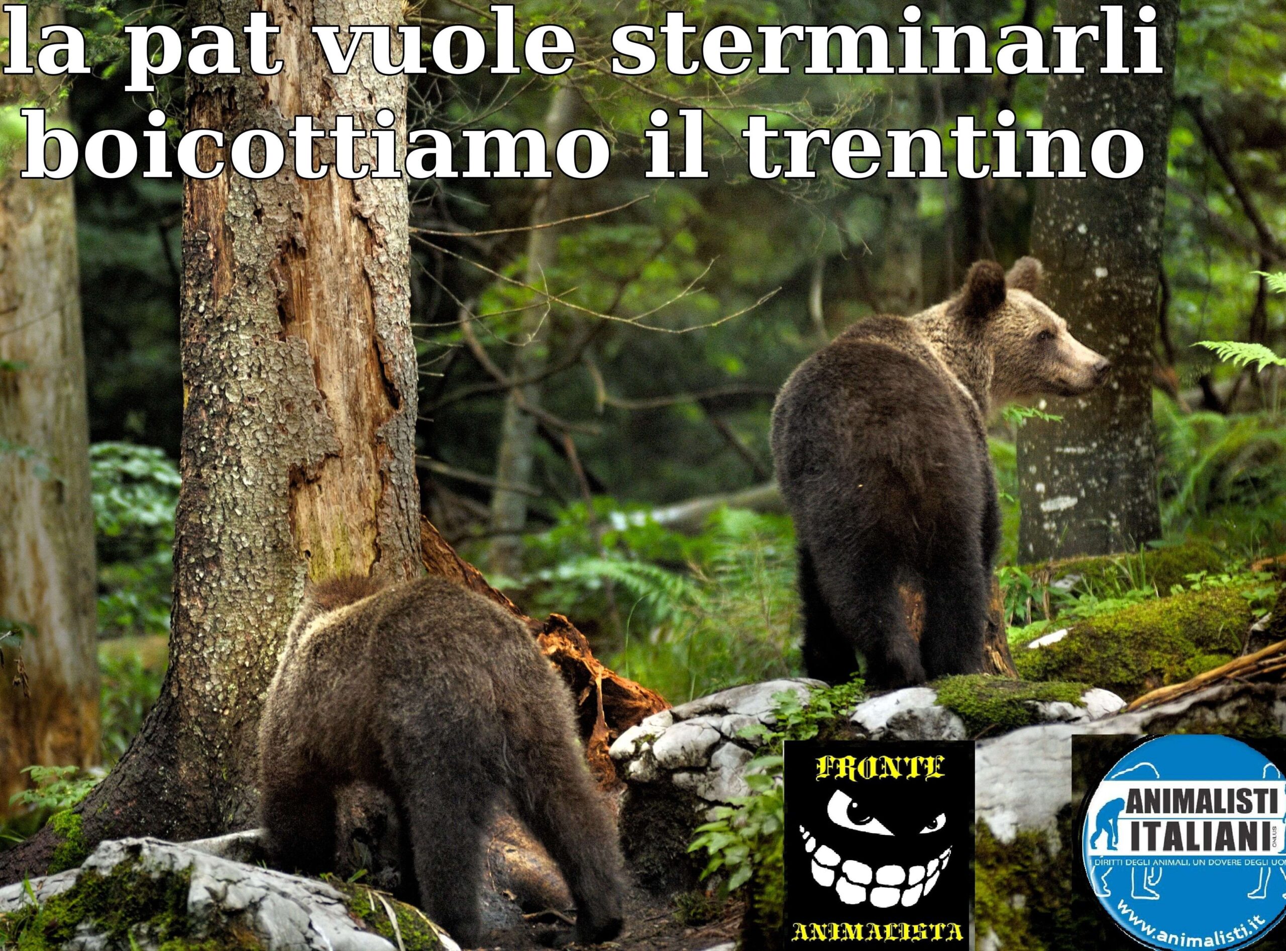 f41bf091a4e18f2312495cc0e975d9f7