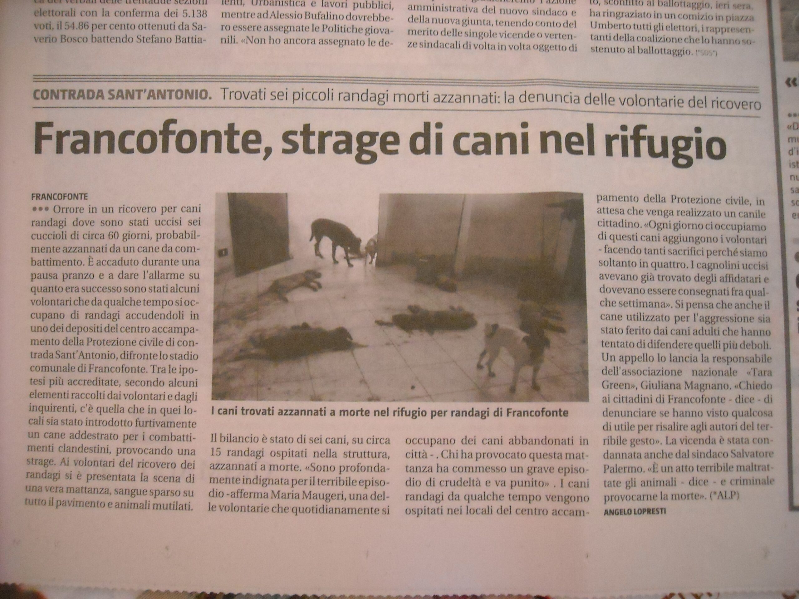 c910db2cadeb7dd44121f01e6d7b155d