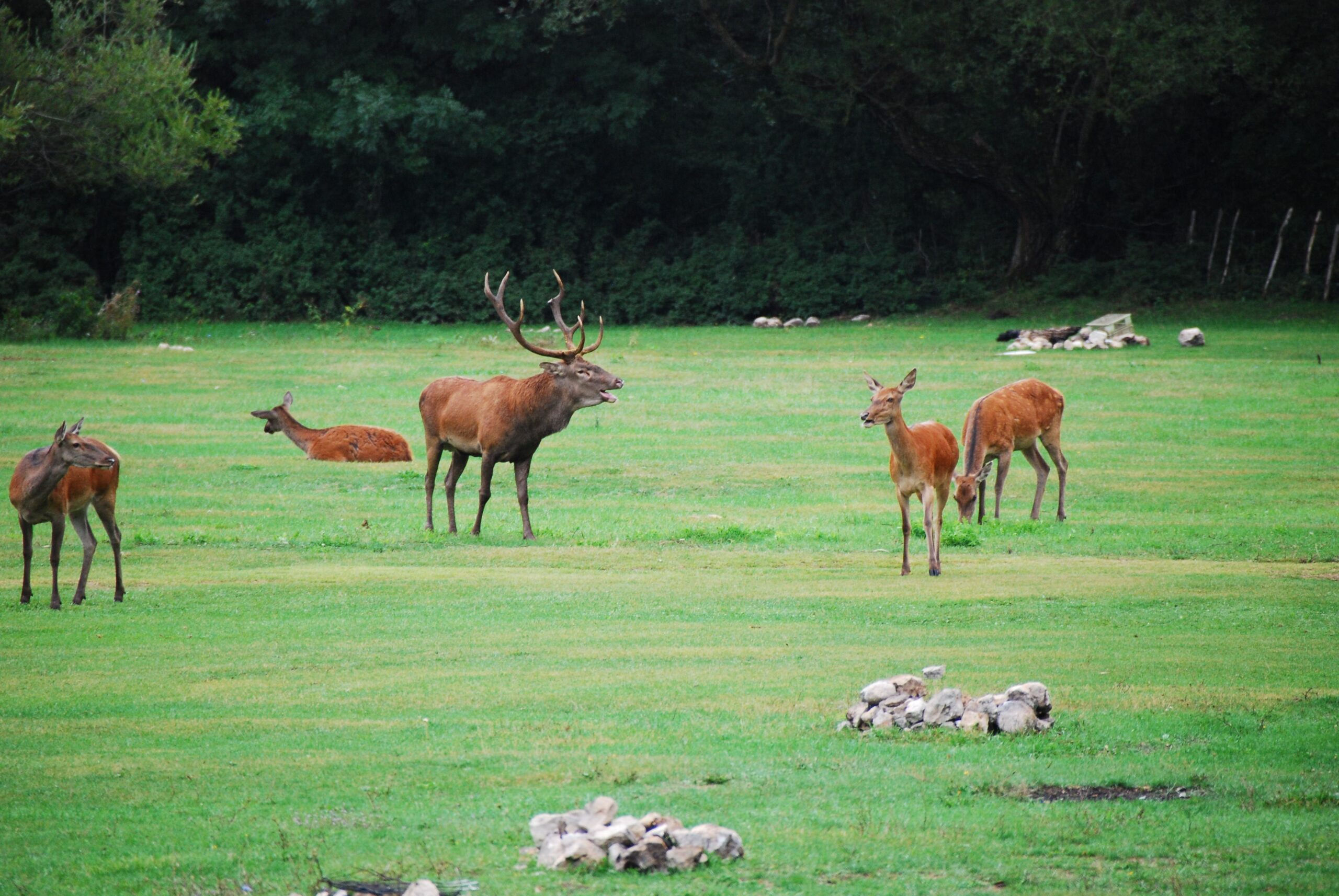 72d71c3e1a75301c5a2942cd172af179