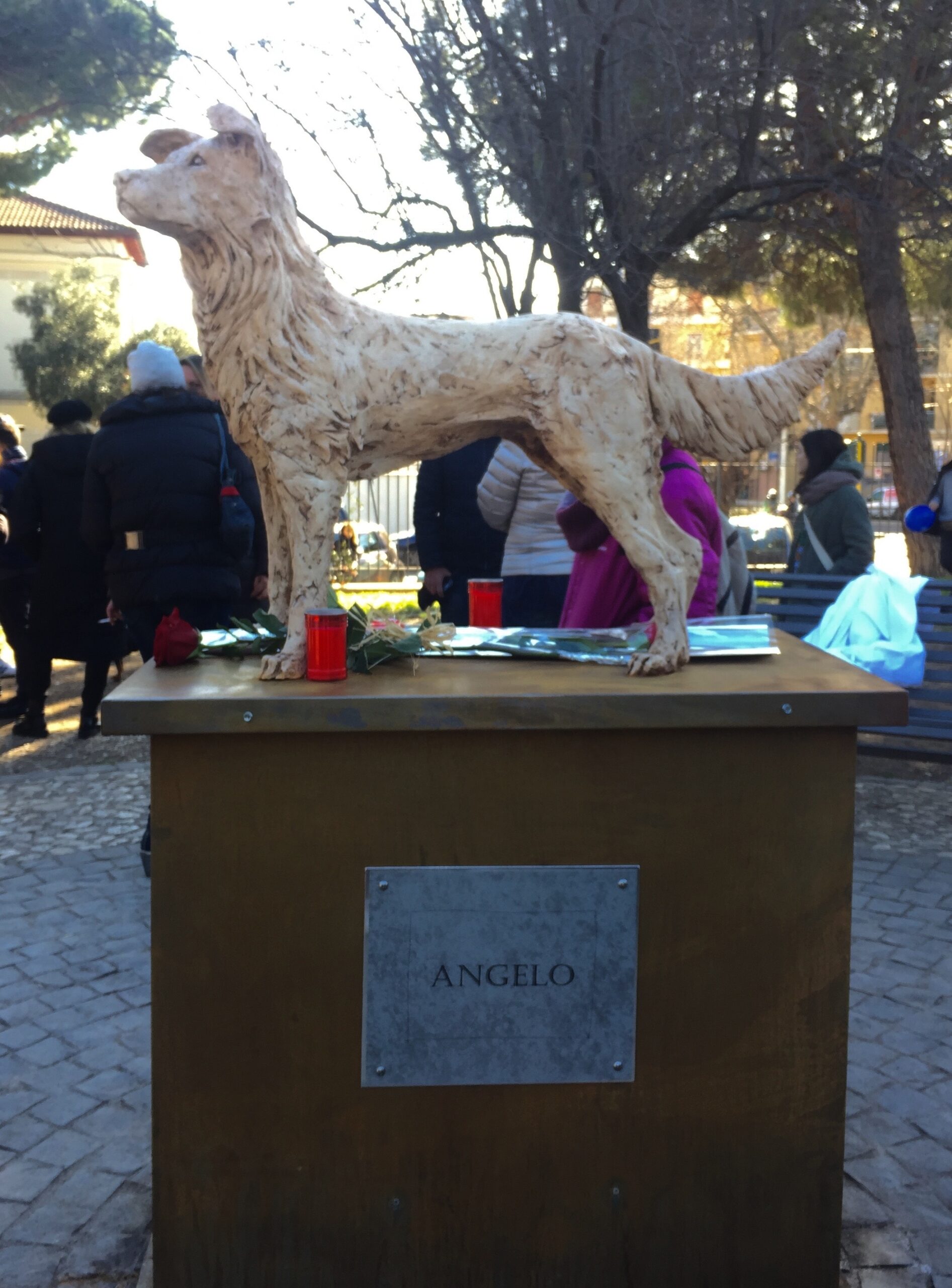 0f18514092300971a1d9467fe5706101