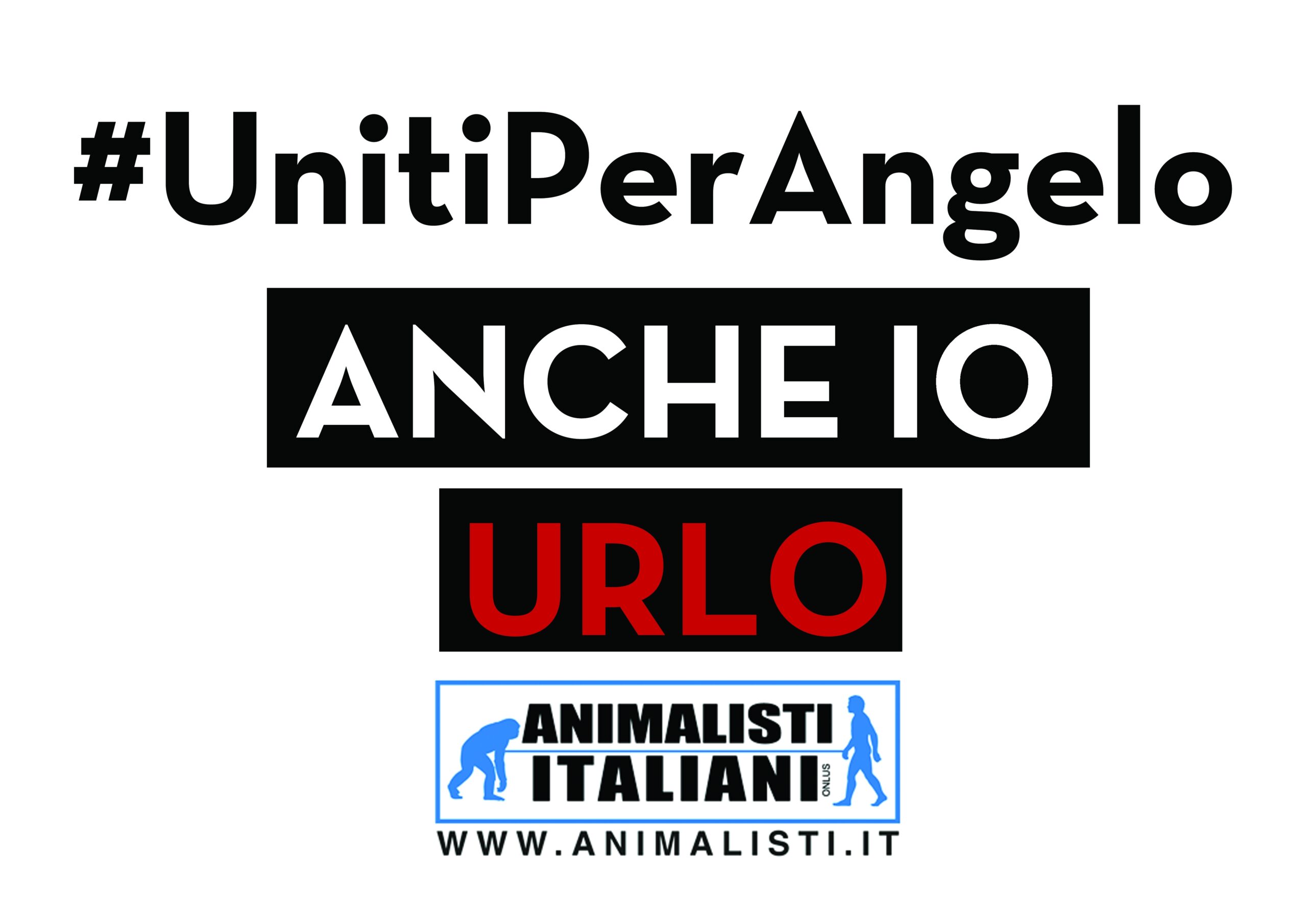 a6026d97db0c19ba76f2c5c141efd324