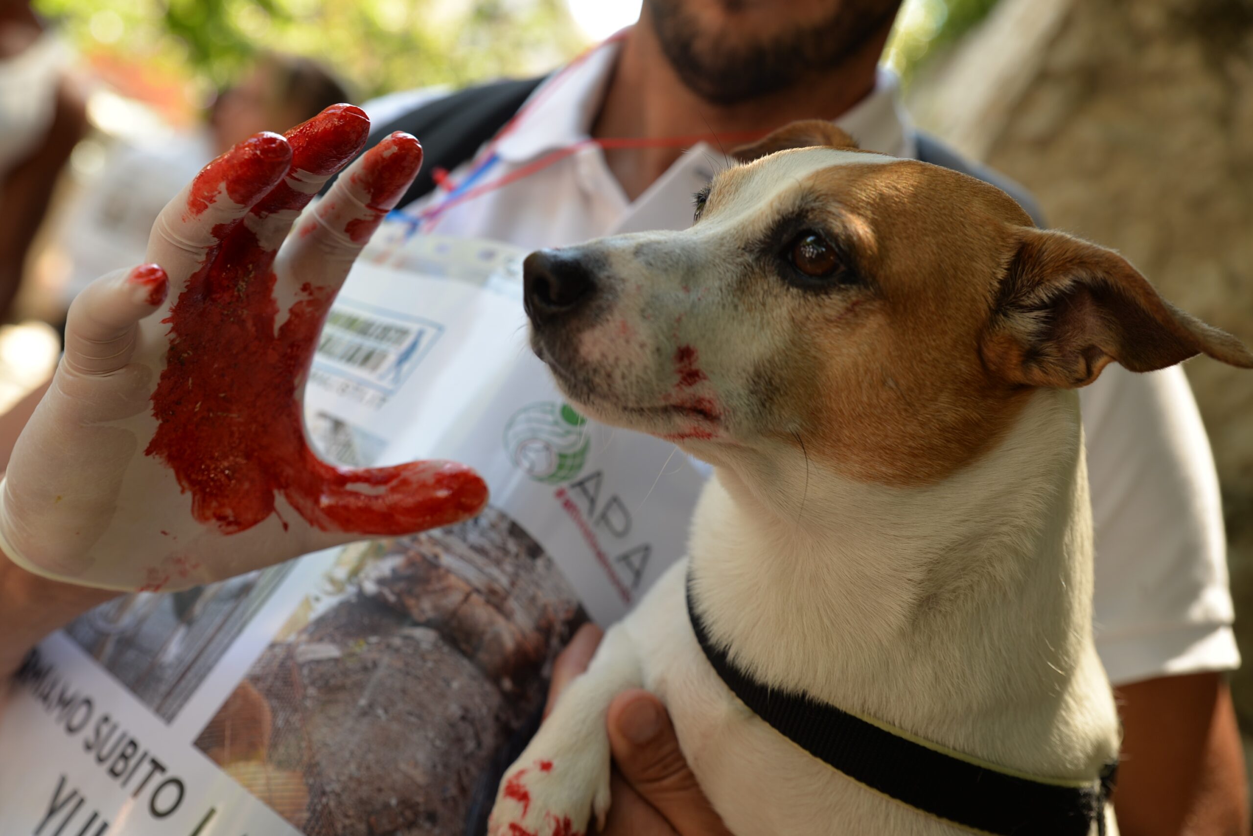 0345422ddcb43c580d78147360d8e84a