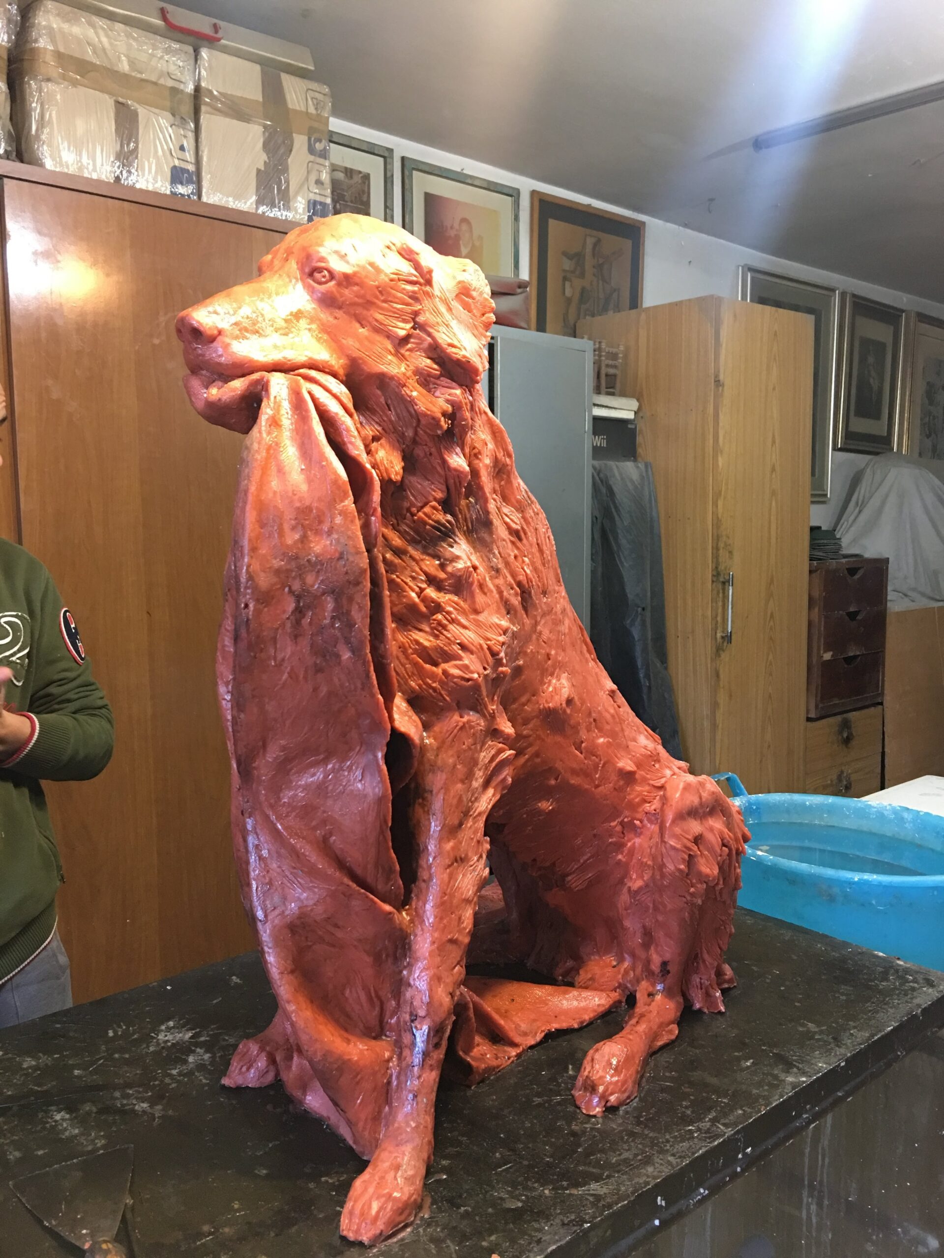 223d3e825305be1390f95e96c8b494f2