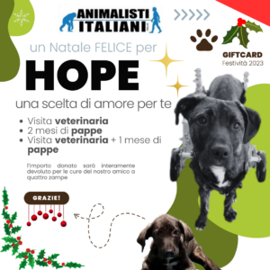 Animalisti Italiani Gift Card Festivita Natale 2023 Hope