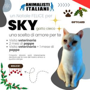 Animalisti-Italiani-Gift-Card-Festivita-Natale-new-Sky