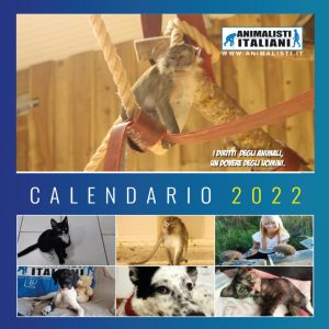 Foto Calendario 2022