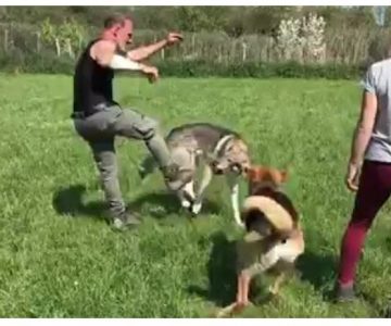 Claudio Mangini prende a calci un cane Claudio Mangini prende a calci un cane