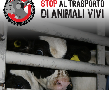 Stop commercio animali vivi