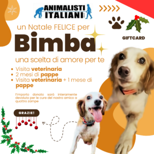 Animalisti-Italiani-Gift-Card-Festivita-Natale-2024-Bimba