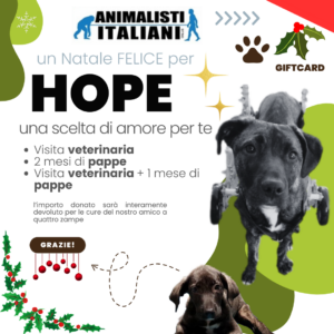 Animalisti-Italiani-Gift-Card-Festivita-Natale-2024-Hope