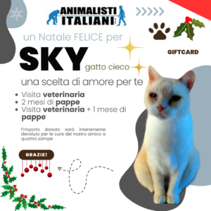 Animalisti-Italiani-Gift-Card-Festivita-Natale-2024-Sky