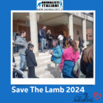 Save The Lamb_2024 (13)