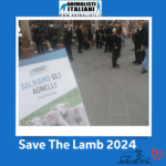 Save The Lamb_2024 (15)