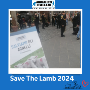 Save The Lamb_2024 (15)