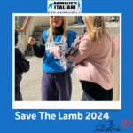Save The Lamb_2024 (19)