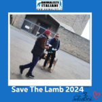 Save The Lamb_2024 (4)