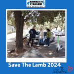 Save The Lamb_2024 (5)