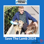 Save The Lamb_2024 (6)