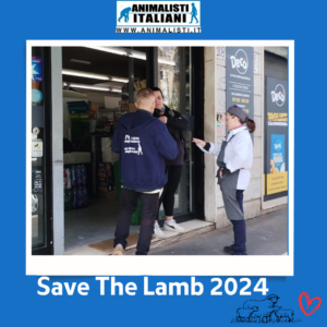 Save The Lamb_2024 (7)