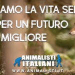 Logo piccolo_ banner_animalisti_300x100