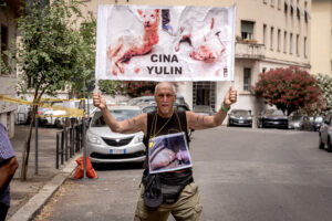 Stop Yulin, demonstration against the killing of dogs and cats in China for the traditional festival