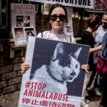 Stop Yulin, demonstration against the killing of dogs and cats in China for the traditional festival