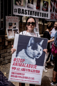 Stop Yulin, demonstration against the killing of dogs and cats in China for the traditional festival