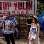 Stop Yulin, demonstration against the killing of dogs and cats in China for the traditional festival