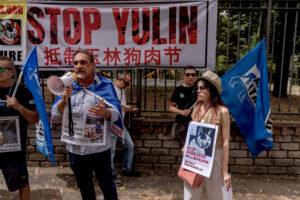 Stop Yulin, demonstration against the killing of dogs and cats in China for the traditional festival