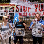 Stop Yulin, demonstration against the killing of dogs and cats in China for the traditional festival