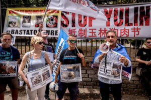 Stop Yulin, demonstration against the killing of dogs and cats in China for the traditional festival