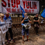 Stop Yulin, demonstration against the killing of dogs and cats in China for the traditional festival