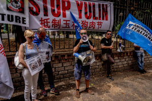 Stop Yulin, demonstration against the killing of dogs and cats in China for the traditional festival