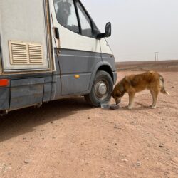 On the road - Marocco