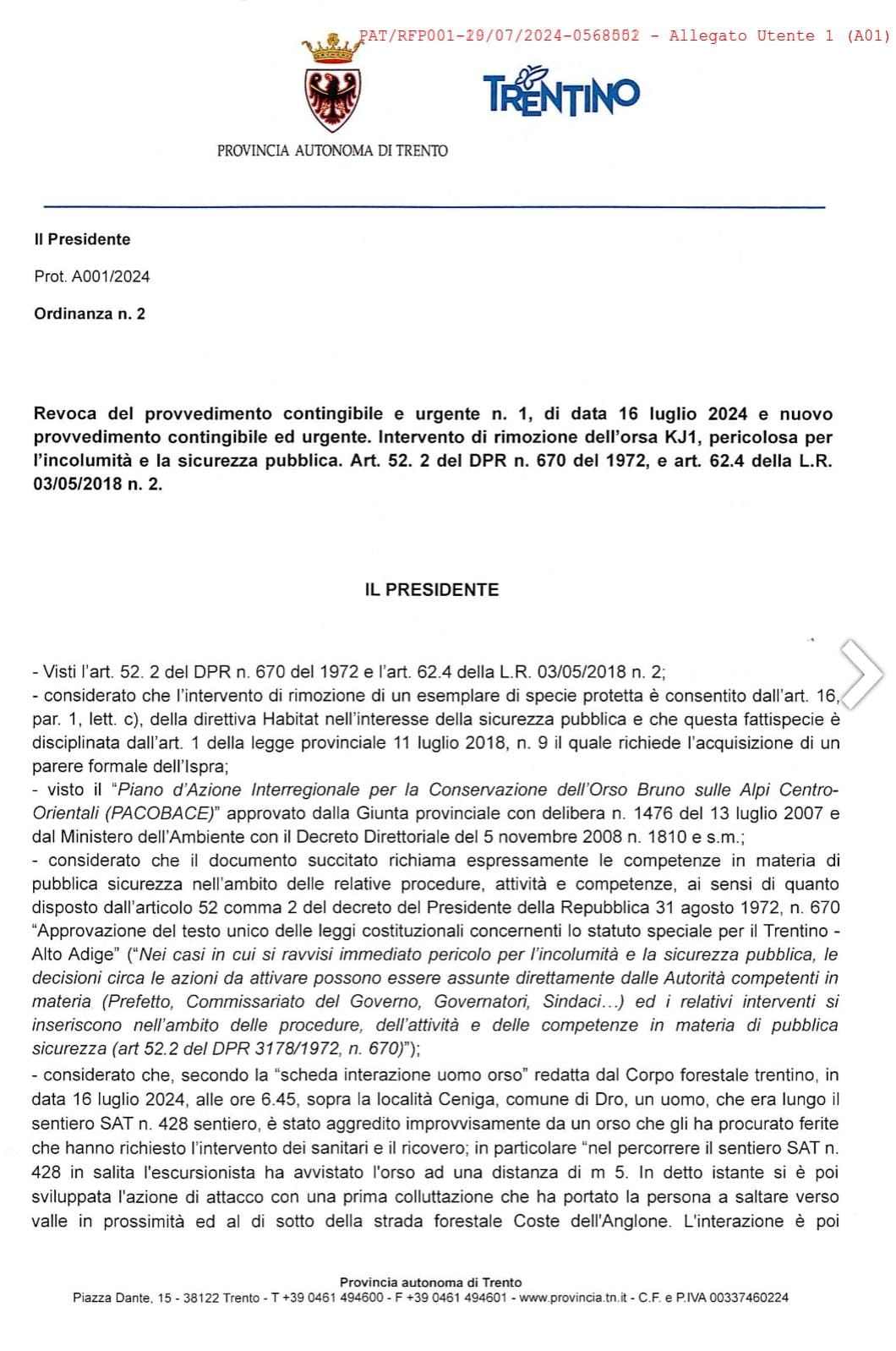 lettera-orso-1