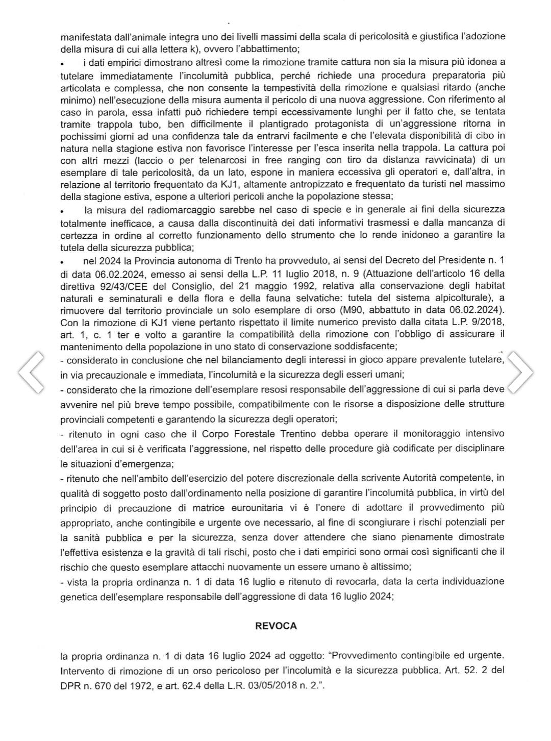 lettera-orso-3