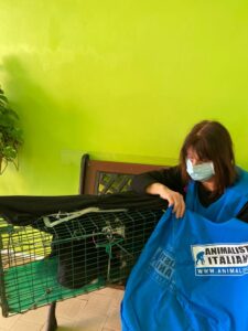 Foto-Sterilizzazioni-e-recuperi-animali_Roma-4