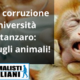 Truffa e corruzione all’Università di Catanzaro abusi sugli animali!