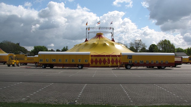 circus-1373134_640