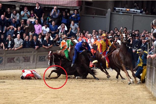 Palio di Siena