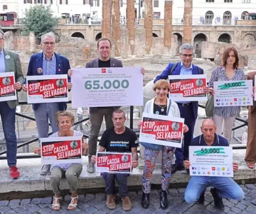 stop-caccia.jpg stop-caccia.jpg