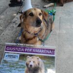 WhatsApp Image 2025-06-24 at 13.33.52
