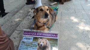 WhatsApp Image 2025-06-24 at 13.33.52