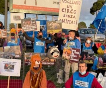 animalisti protesta animalisti protesta