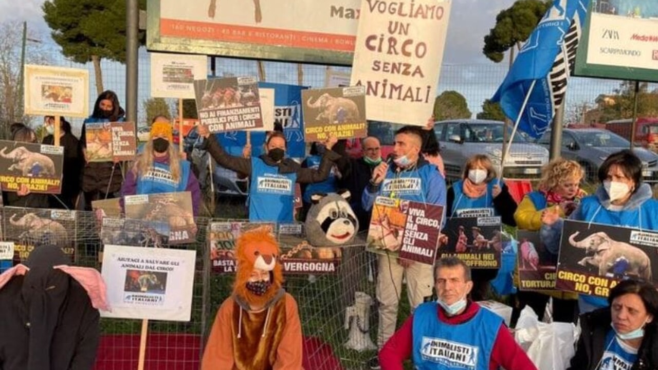 animalisti protesta
