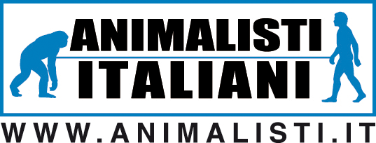 logoblu