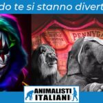 post-facebook-circo-sito-1024x535