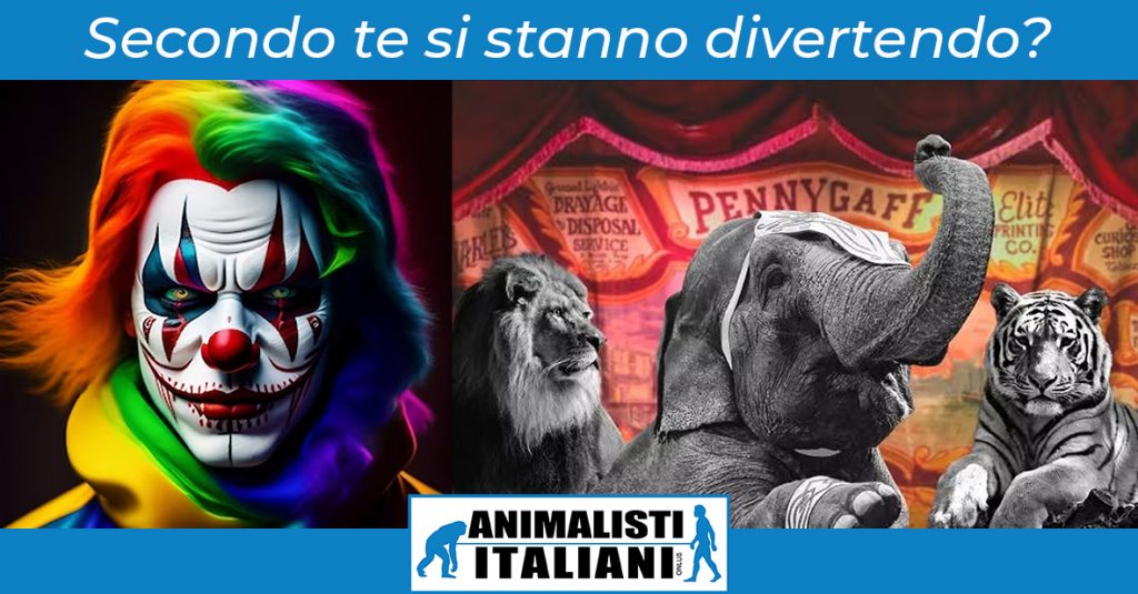 post-facebook-circo-sito-1024x535