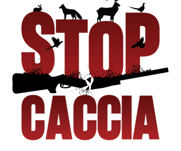 LOGO_SFUMATURA_MODIFICATA LOGO_SFUMATURA_MODIFICATA